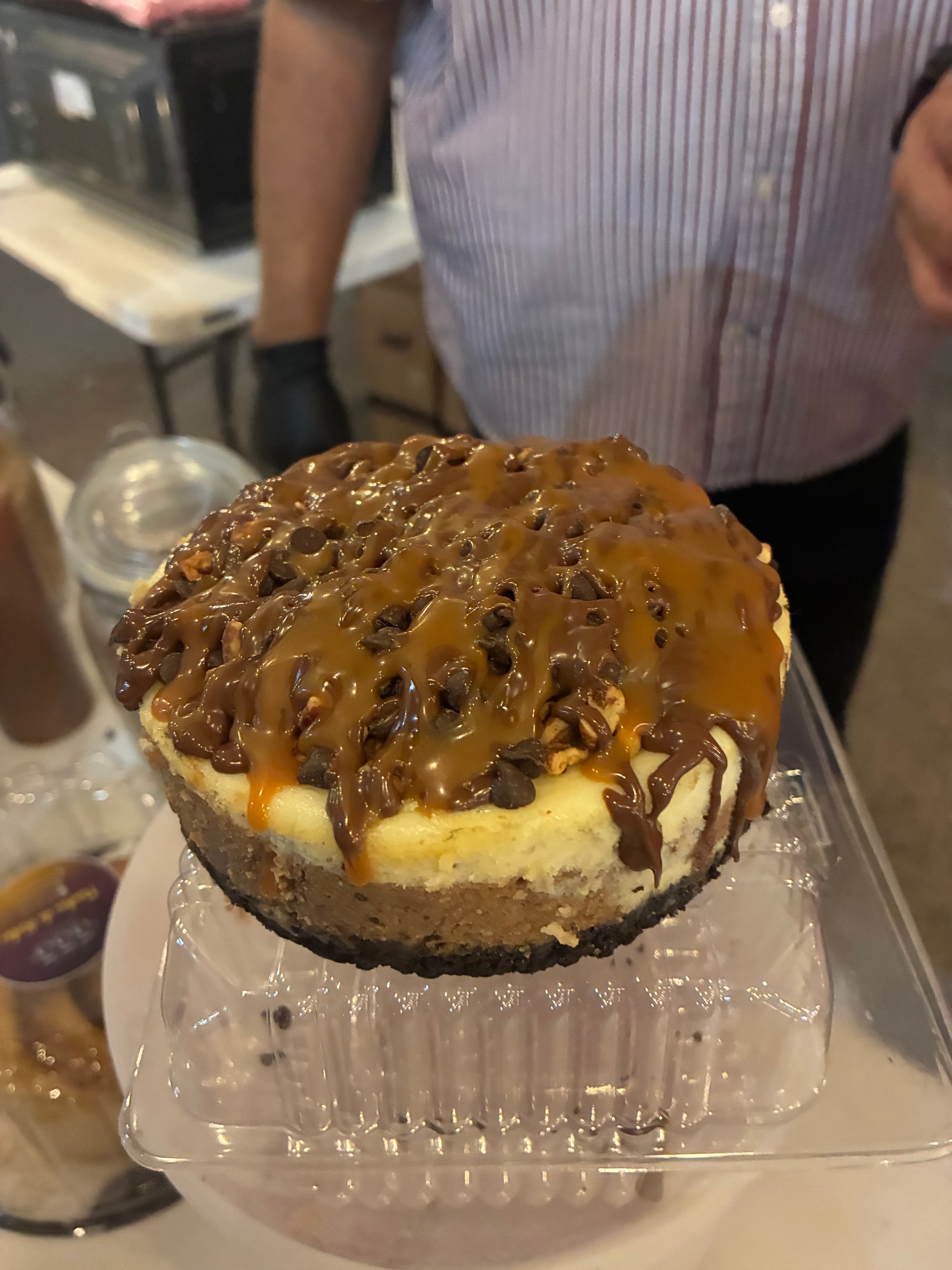 Cheesecake Tortuga